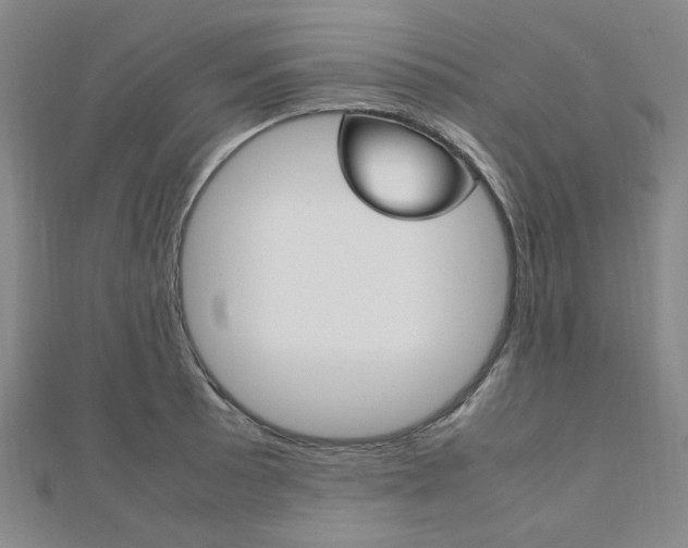 X0000112011089200908031016