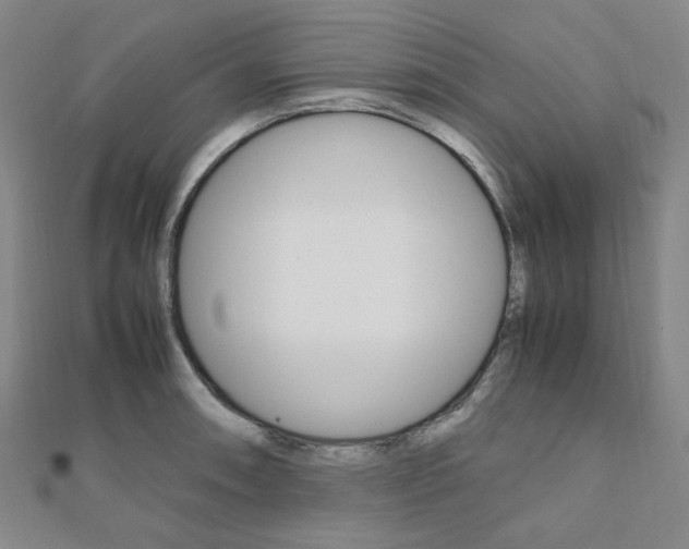 X0000112011090200908031016