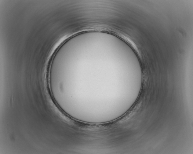 X0000112011091200908031016