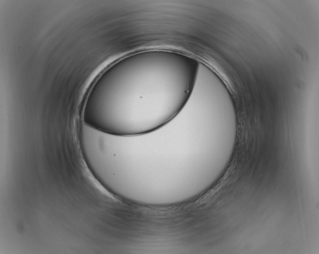 X0000112011092200908031016