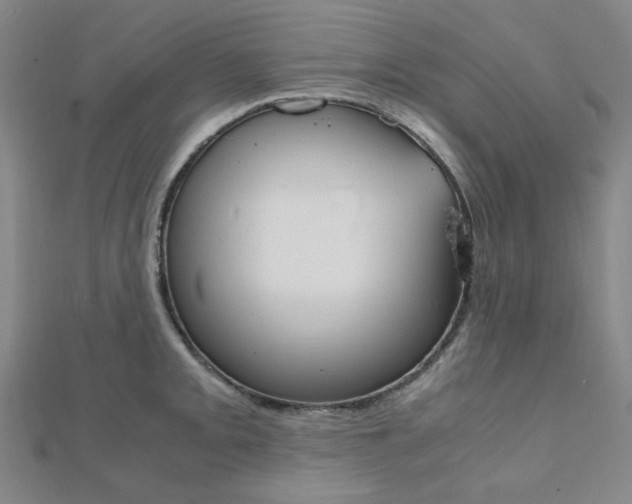 X0000112011093200908031016