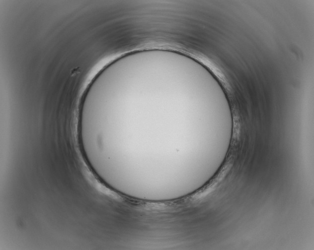 X0000112011094200908031016