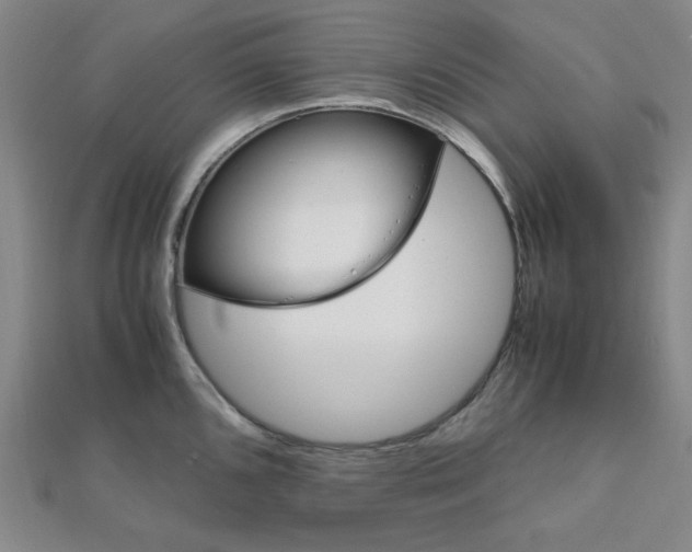X0000112011096200908031016