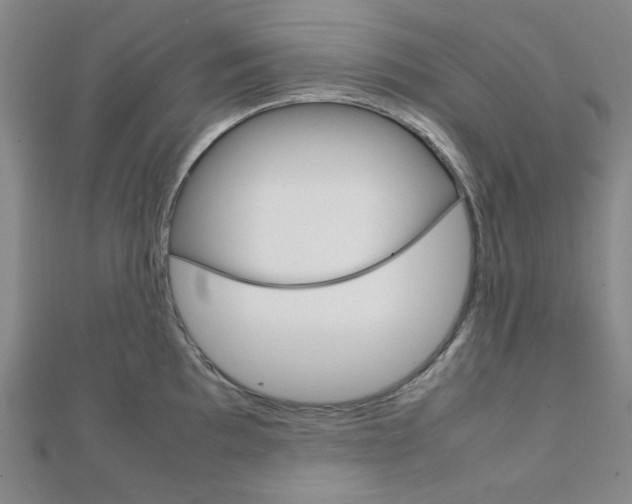 X0000112011097200908031016