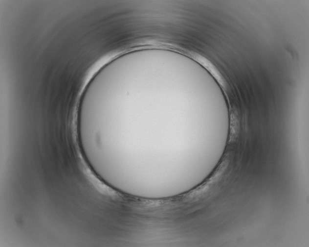 X0000112011098200908031016