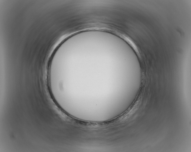 X0000112011099200908031016