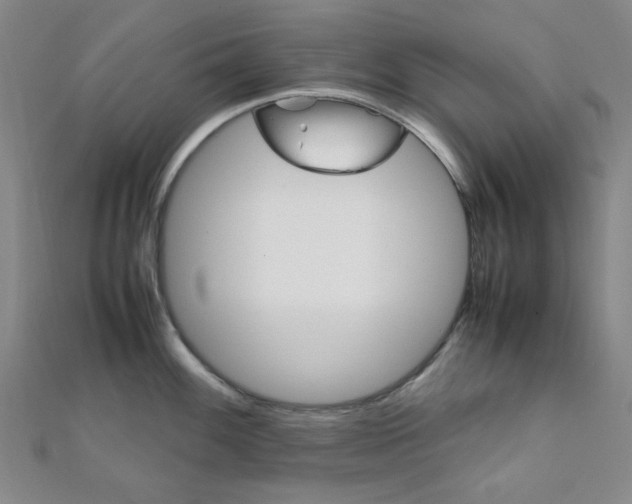 X0000112011100200908031016