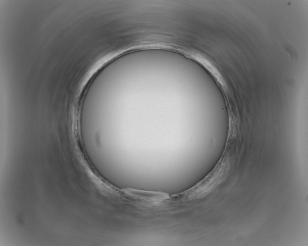 X0000112011101200908031016