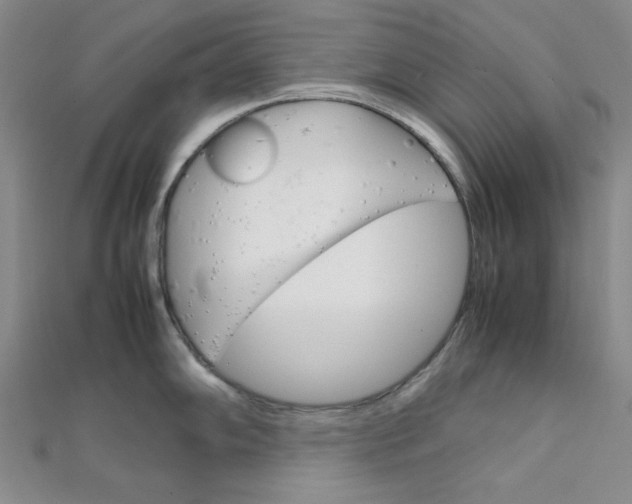 X0000112011102200908031016