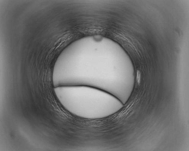 X0000112011107200908031015