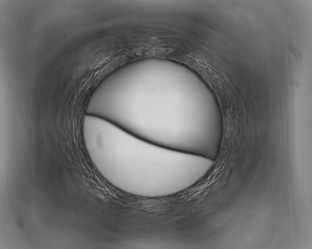 X0000112011109200908031015