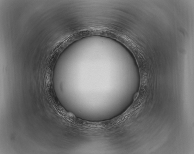 X0000112011110200908031015