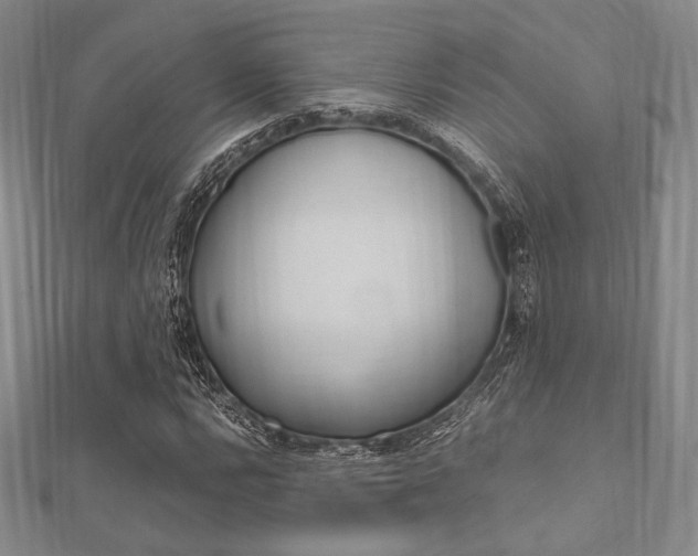 X0000112011112200908031015