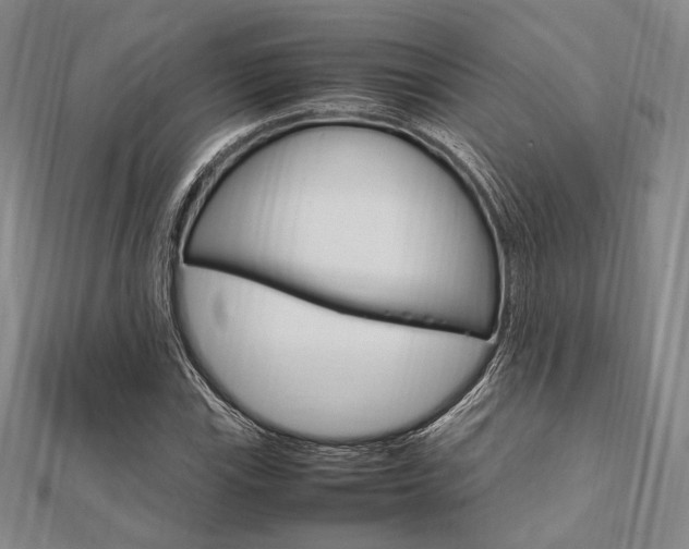 X0000112011115200908031015