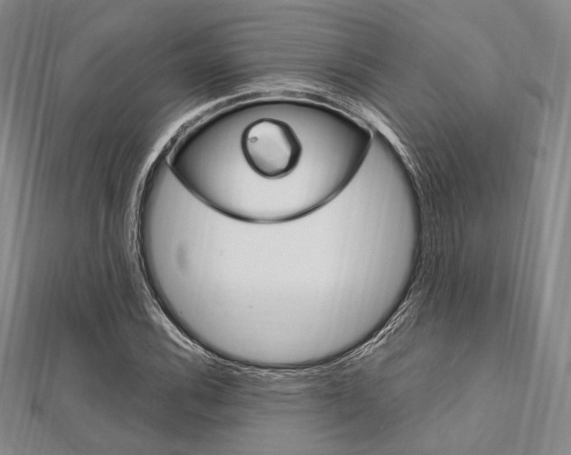 X0000112011116200908031015