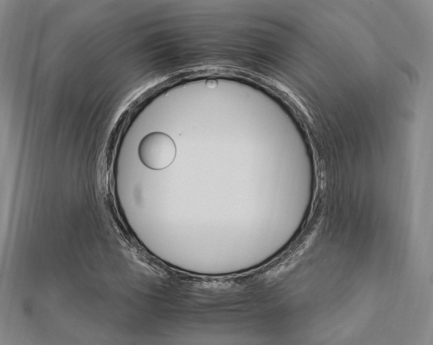X0000112011117200908031015