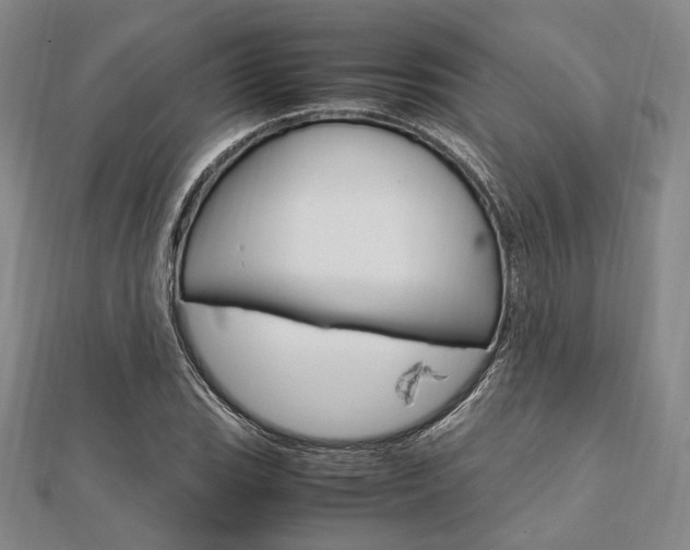 X0000112011119200908031015