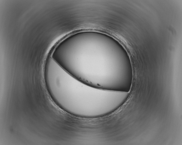 X0000112011120200908031015