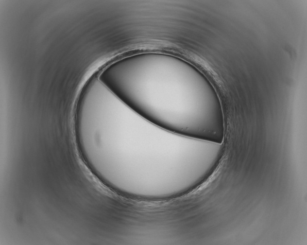 X0000112011122200908031015