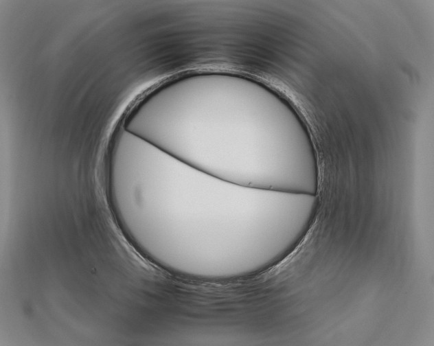 X0000112011123200908031016