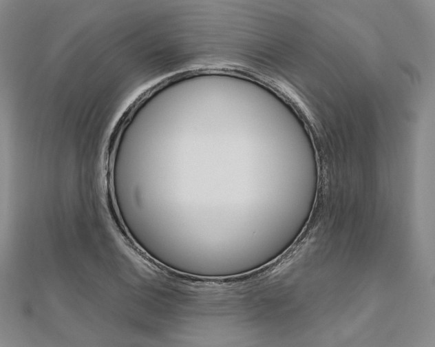 X0000112011124200908031016