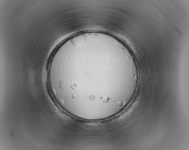 X0000112011125200908031016