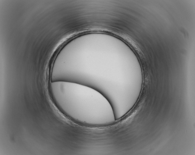 X0000112011126200908031016