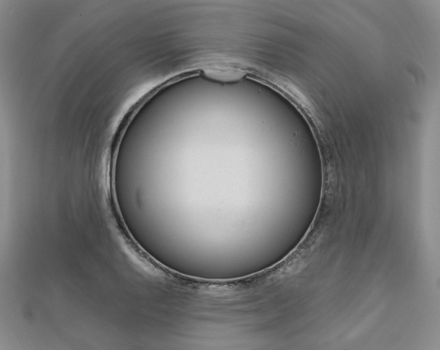 X0000112011128200908031016