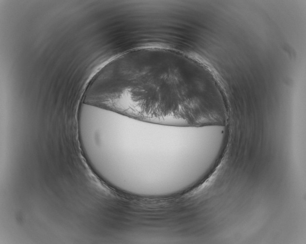 X0000112011129200908031016