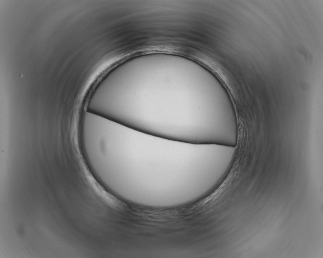 X0000112011131200908031016