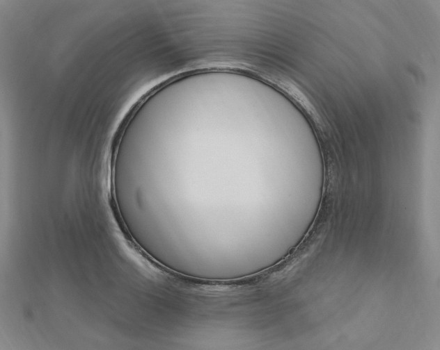 X0000112011132200908031016