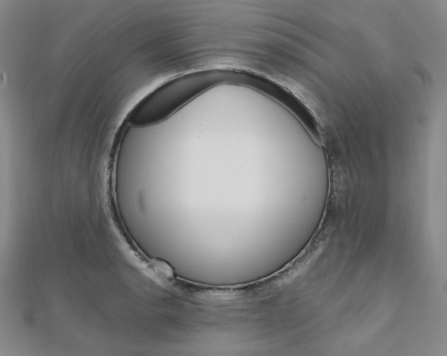 X0000112011134200908031016