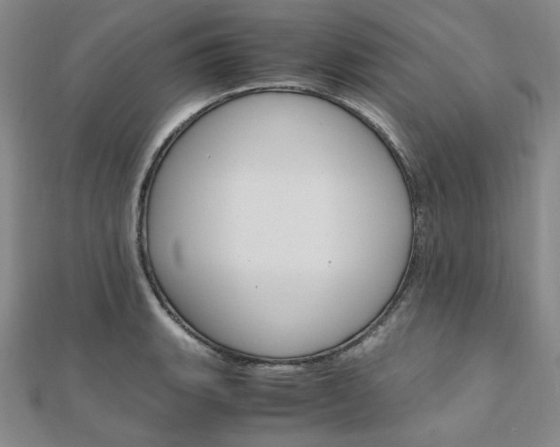 X0000112011135200908031016
