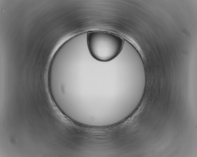 X0000112011138200908031016