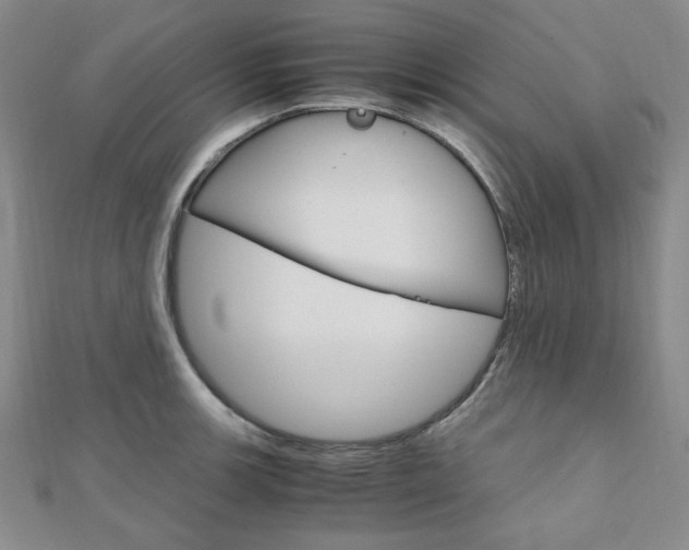 X0000112011139200908031016