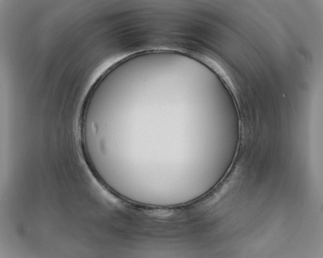 X0000112011141200908031016