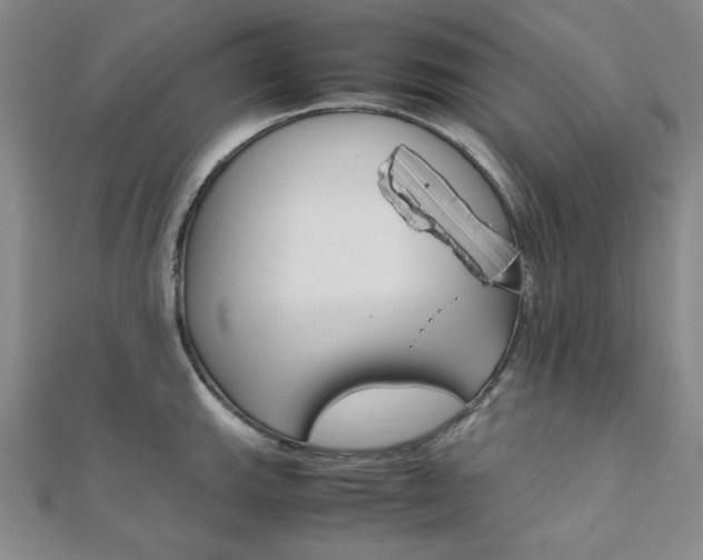 X0000112011143200908031016