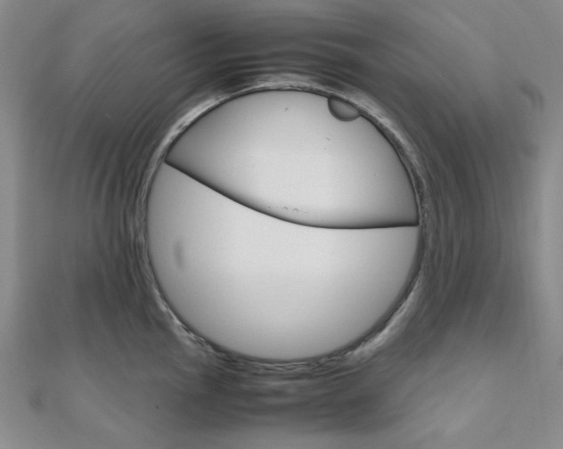 X0000112011145200908031016