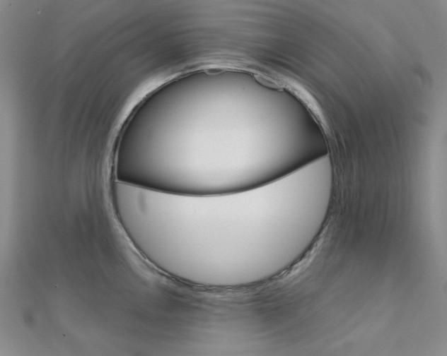 X0000112011146200908031016