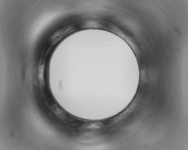 X0000112011150200908031016