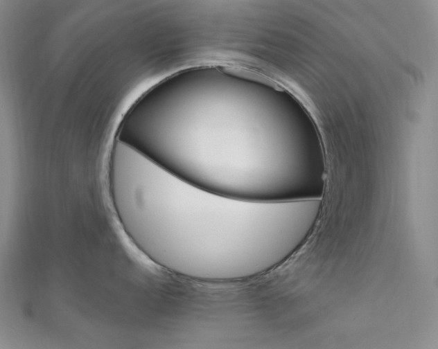 X0000112011152200908031016