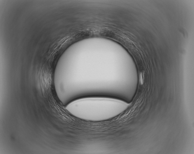 X0000112011155200908031015