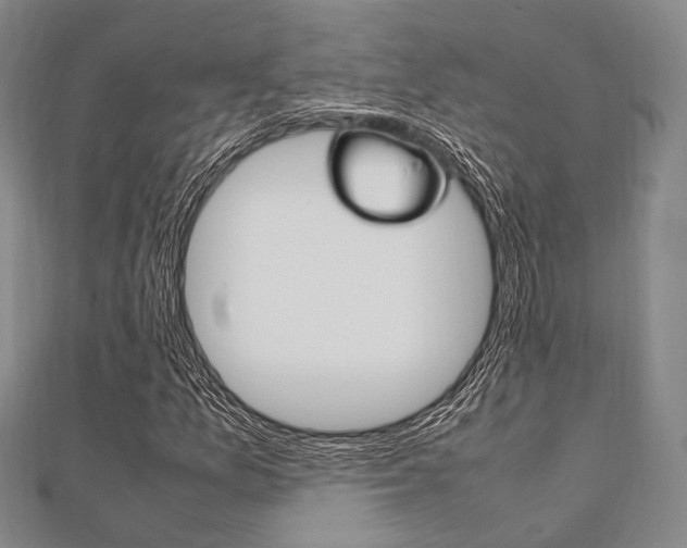 X0000112011157200908031015
