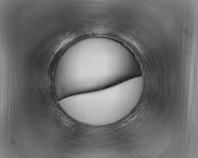X0000112011160200908031015