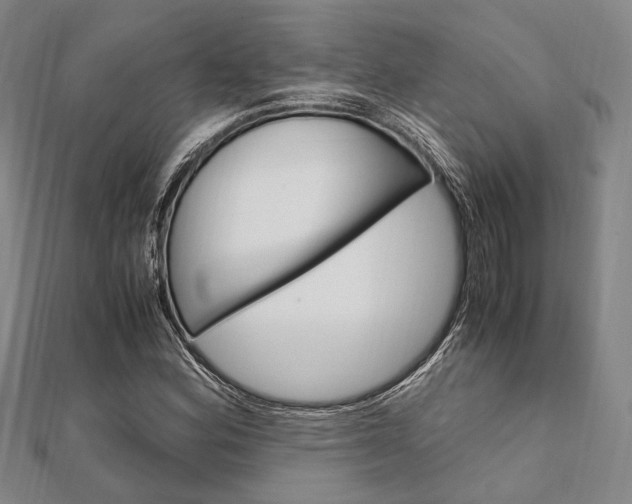 X0000112011164200908031015