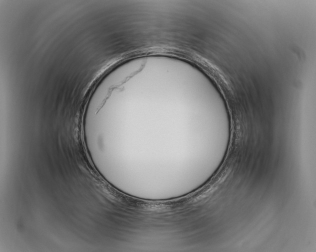 X0000112011170200908031015