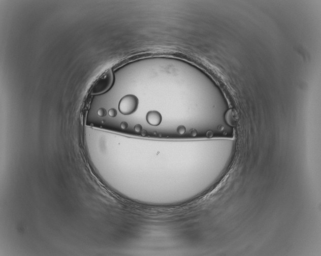 X0000112011171200908031015
