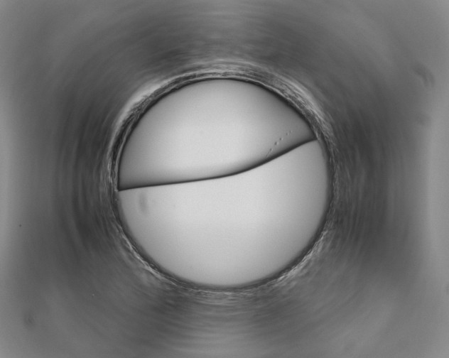 X0000112011172200908031015