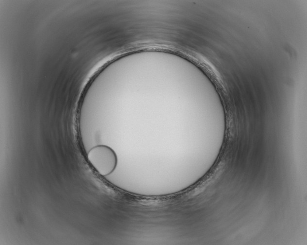 X0000112011182200908031015