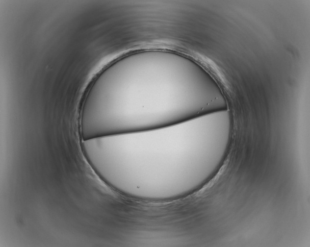 X0000112011184200908031015